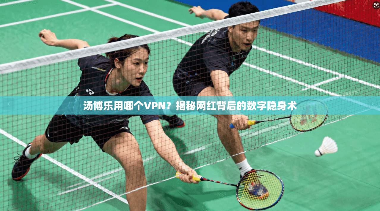 汤博乐用哪个VPN?揭秘网红背后的数字隐身术