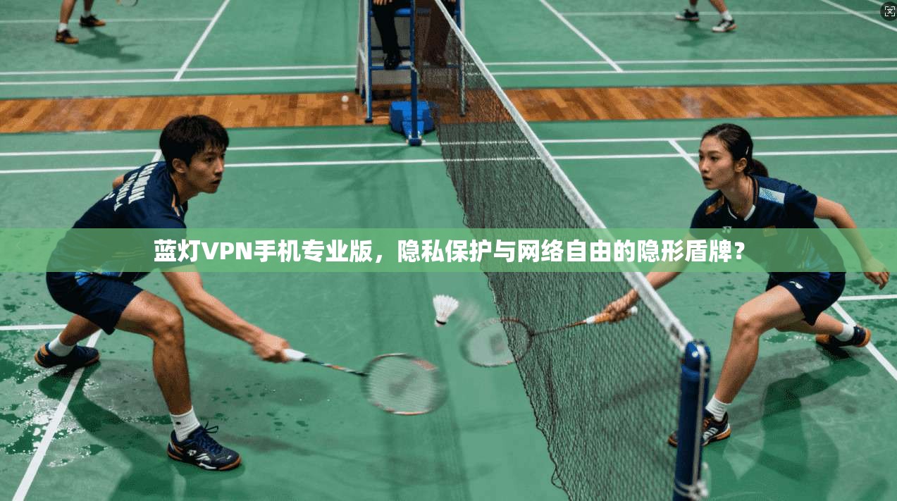 蓝灯VPN手机专业版，隐私保护与网络自由的隐形盾牌？