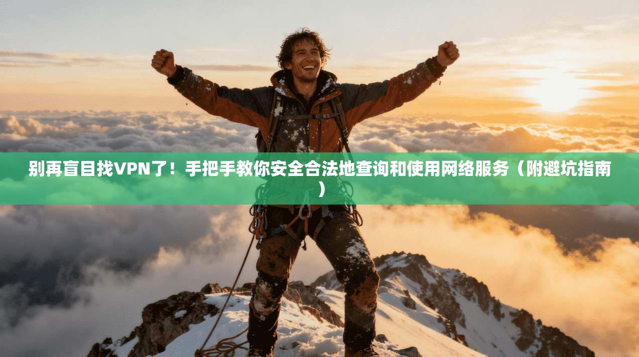 别再盲目找VPN了！手把手教你安全合法地查询和使用网络服务（附避坑指南）