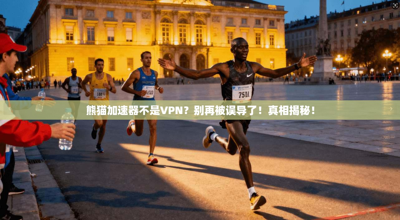 熊猫加速器不是VPN？别再被误导了！真相揭秘！