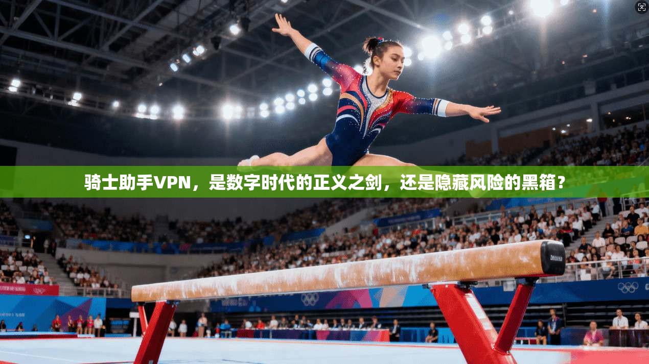 骑士助手VPN，是数字时代的正义之剑，还是隐藏风险的黑箱？
