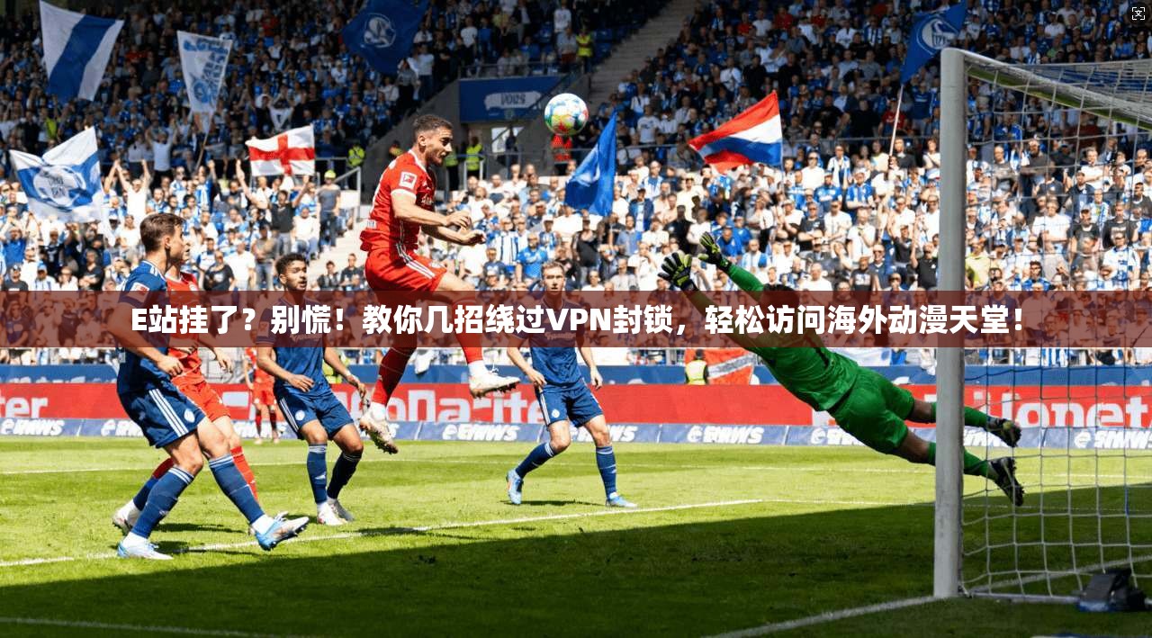E站挂了?别慌!教你几招绕过VPN封锁,轻松访问海外动漫天堂!