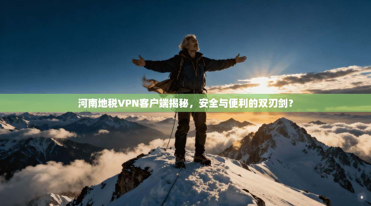 河南地税VPN客户端揭秘,安全与便利的双刃剑?