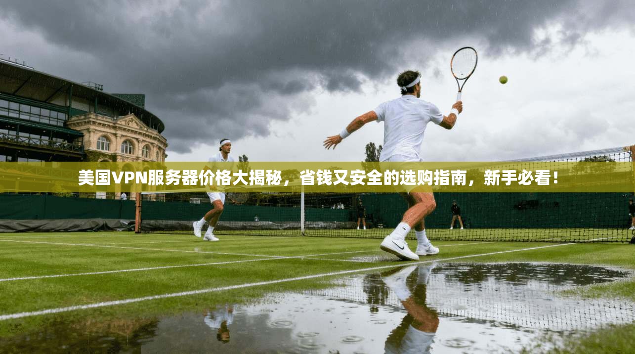 美国VPN服务器价格大揭秘，省钱又安全的选购指南，新手必看！