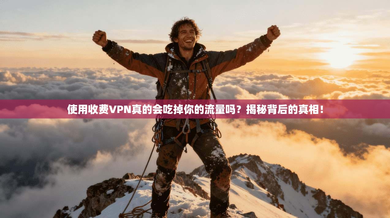 使用收费VPN真的会吃掉你的流量吗?揭秘背后的真相! 使用收费VPN真的会吃掉你的流量吗?揭秘背后的真相!