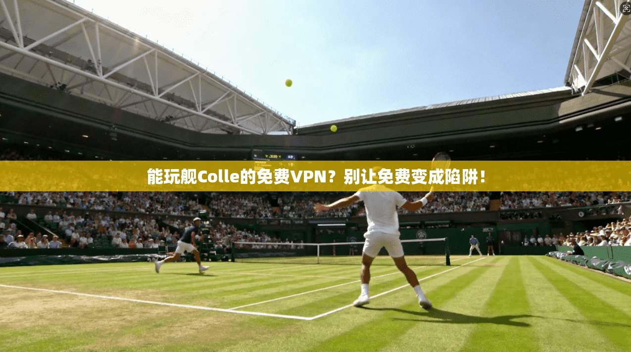能玩舰Colle的免费VPN？别让免费变成陷阱！