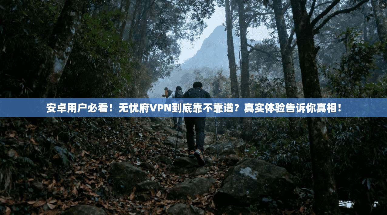 安卓用户必看!无忧府VPN到底靠不靠谱?真实体验告诉你真相!