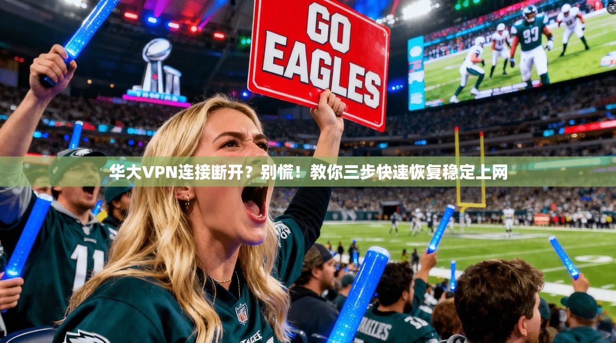 华大VPN连接断开？别慌！教你三步快速恢复稳定上网