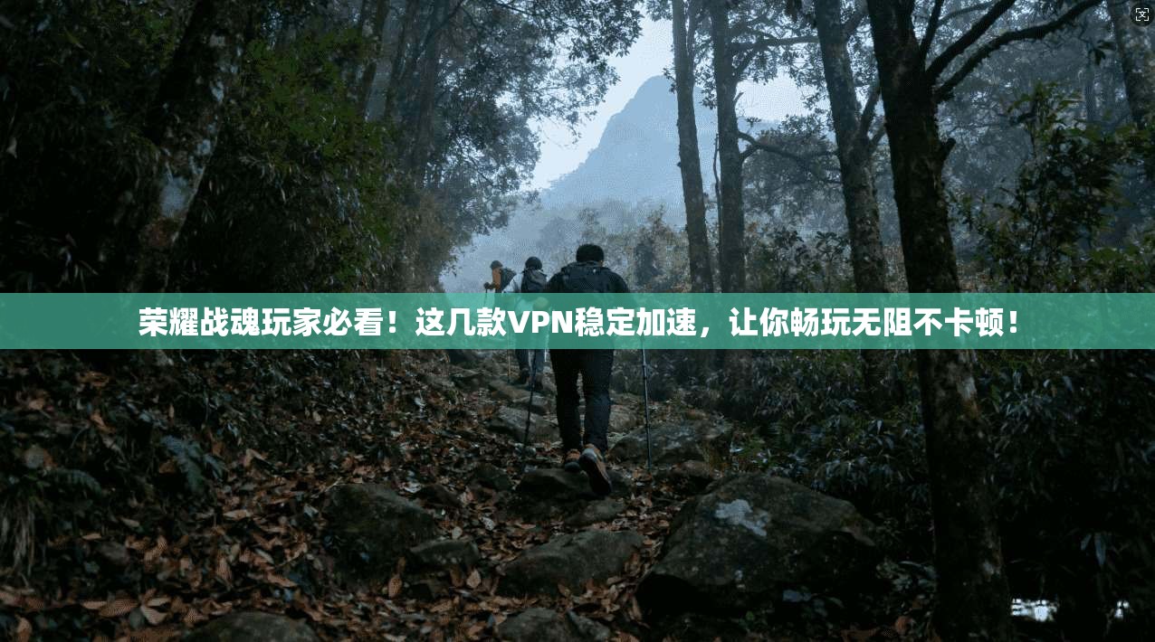 荣耀战魂玩家必看！这几款VPN稳定加速，让你畅玩无阻不卡顿！