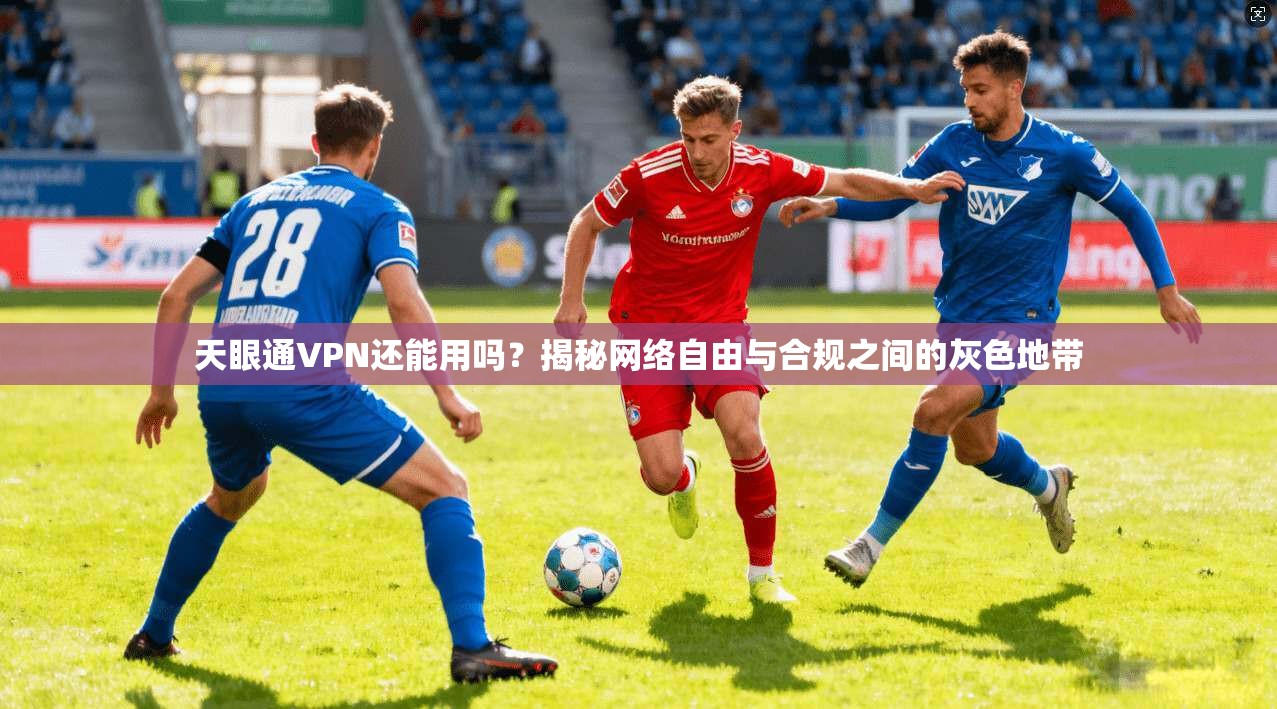 天眼通VPN还能用吗？揭秘网络自由与合规之间的灰色地带