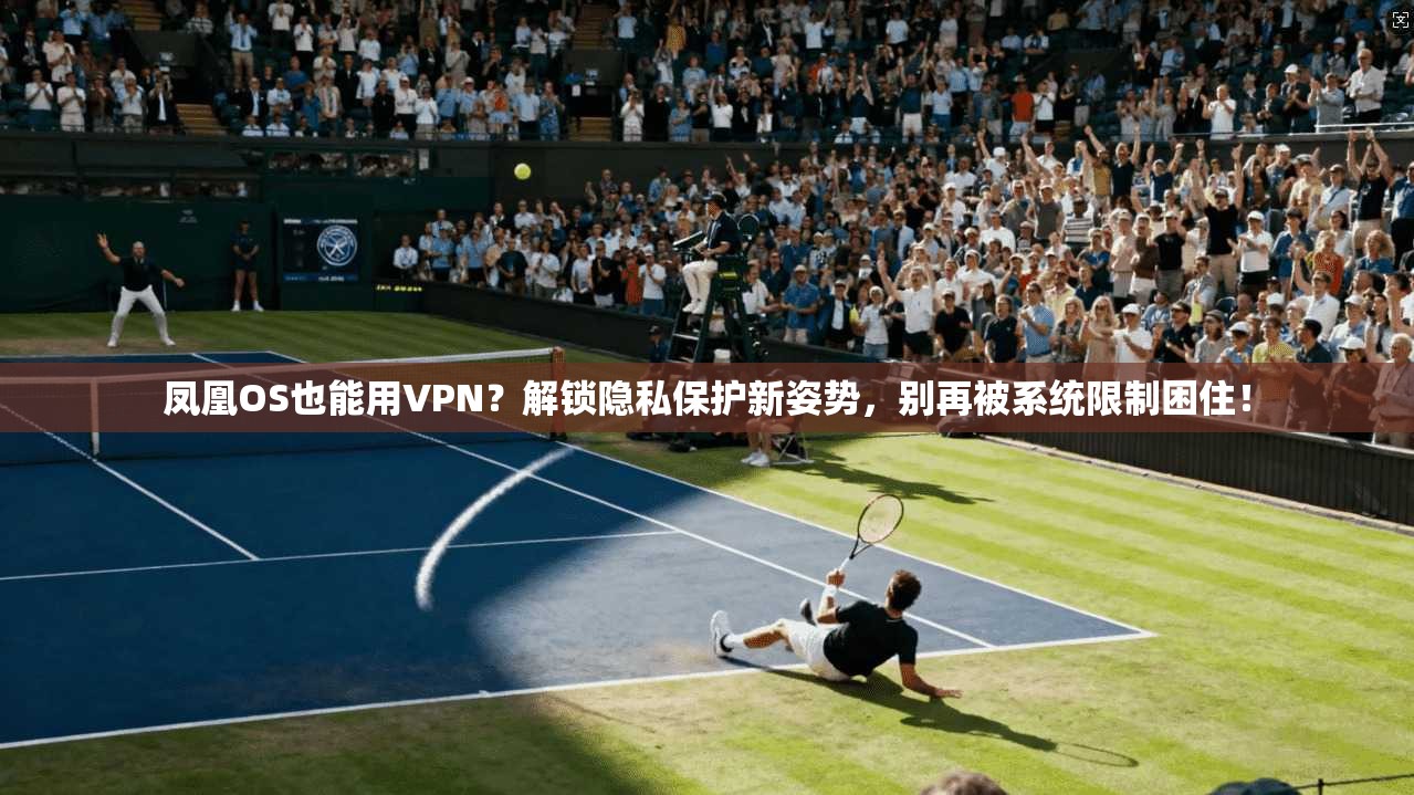 凤凰OS也能用VPN？解锁隐私保护新姿势，别再被系统限制困住！