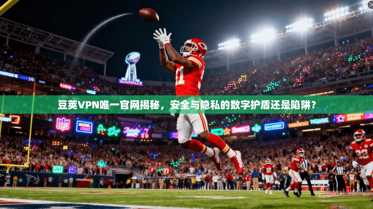 豆荚VPN唯一官网揭秘,安全与隐私的数字护盾还是陷阱?