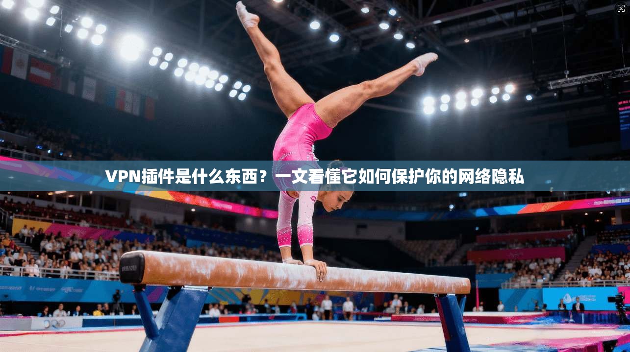 VPN插件是什么东西?一文看懂它如何保护你的网络隐私