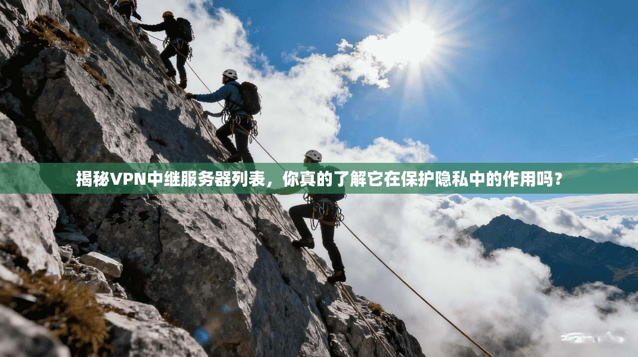 揭秘VPN中继服务器列表,你真的了解它在保护隐私中的作用吗?