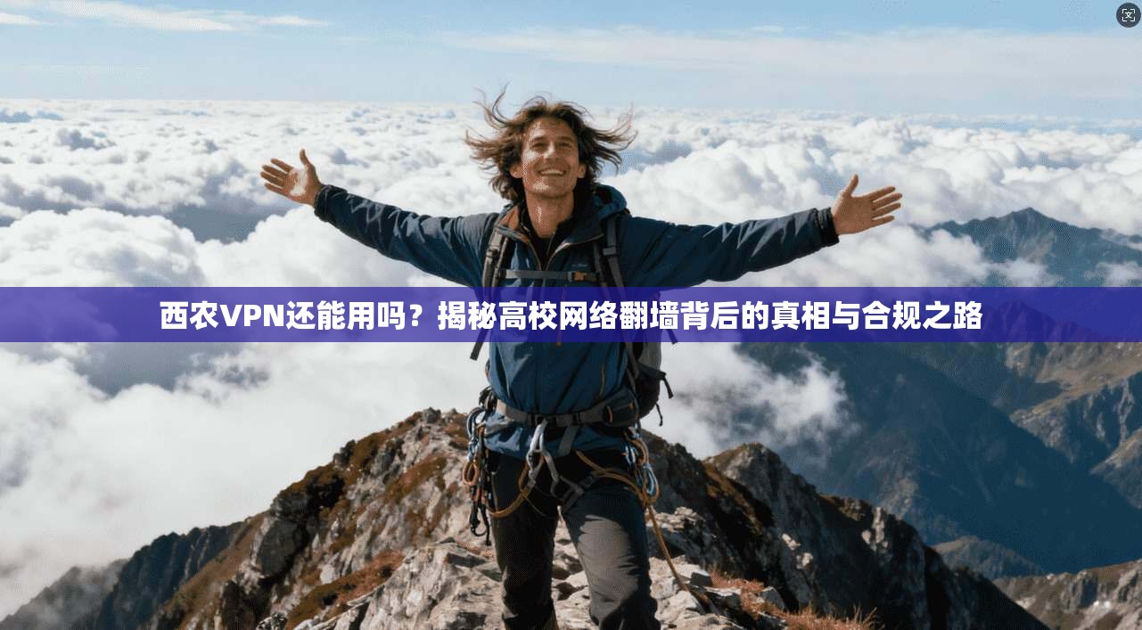 西农VPN还能用吗？揭秘高校网络翻墙背后的真相与合规之路