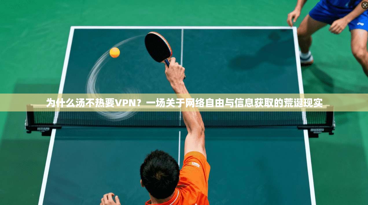为什么汤不热要VPN?一场关于网络自由与信息获取的荒诞现实