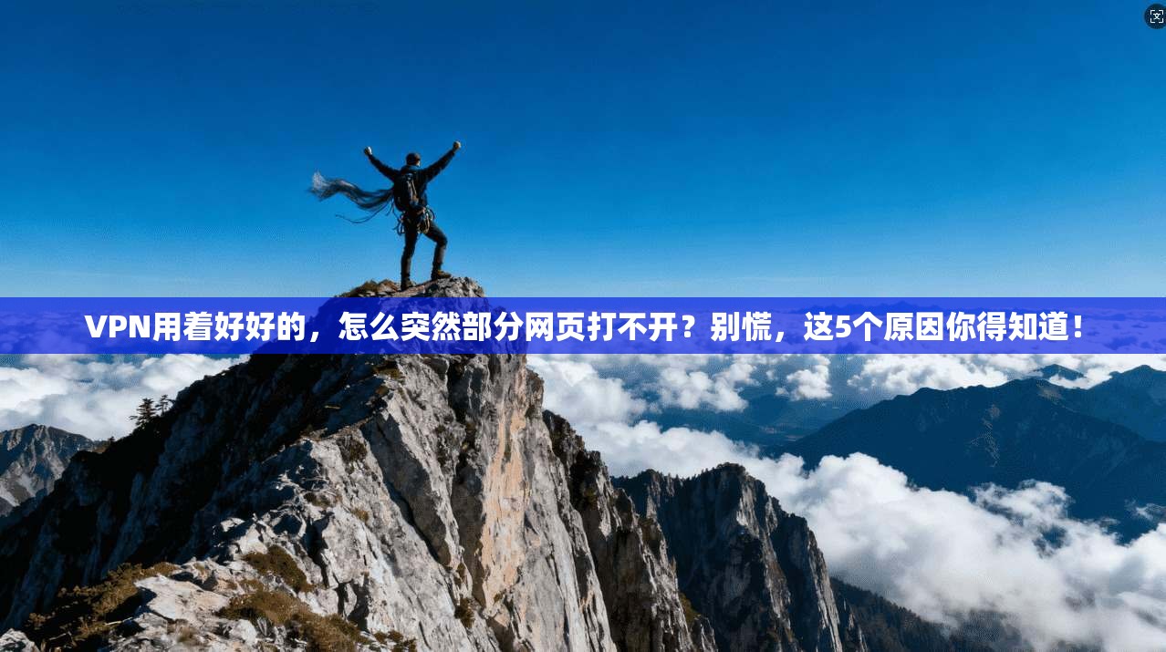 VPN用着好好的，怎么突然部分网页打不开？别慌，这5个原因你得知道！