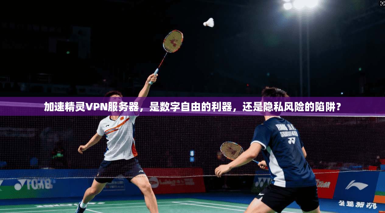 加速精灵VPN服务器，是数字自由的利器，还是隐私风险的陷阱？