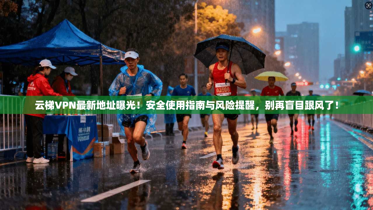 云梯VPN最新地址曝光！安全使用指南与风险提醒，别再盲目跟风了！