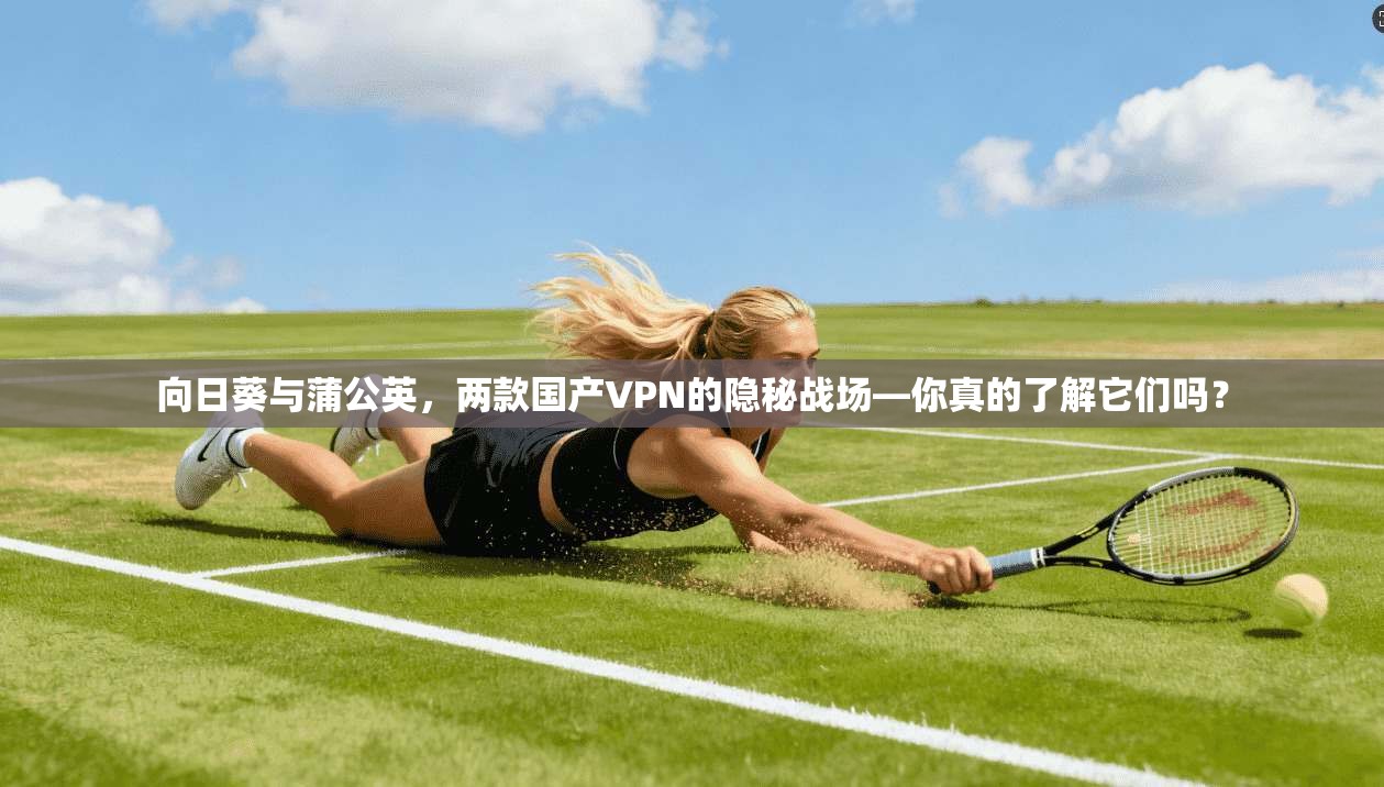 向日葵与蒲公英，两款国产VPN的隐秘战场—你真的了解它们吗？