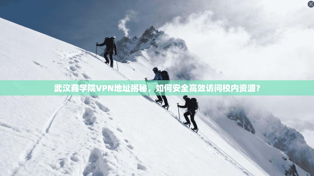 武汉商学院VPN地址揭秘,如何安全高效访问校内资源?