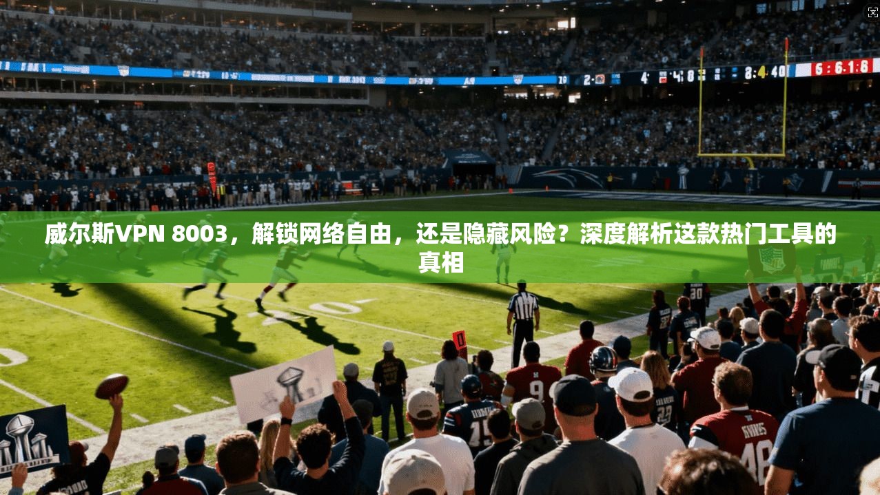 威尔斯VPN 8003，解锁网络自由，还是隐藏风险？深度解析这款热门工具的真相