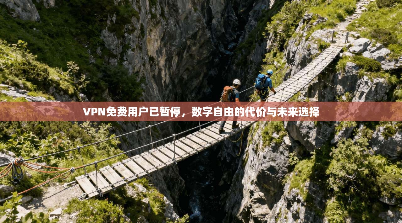 VPN免费用户已暂停，数字自由的代价与未来选择