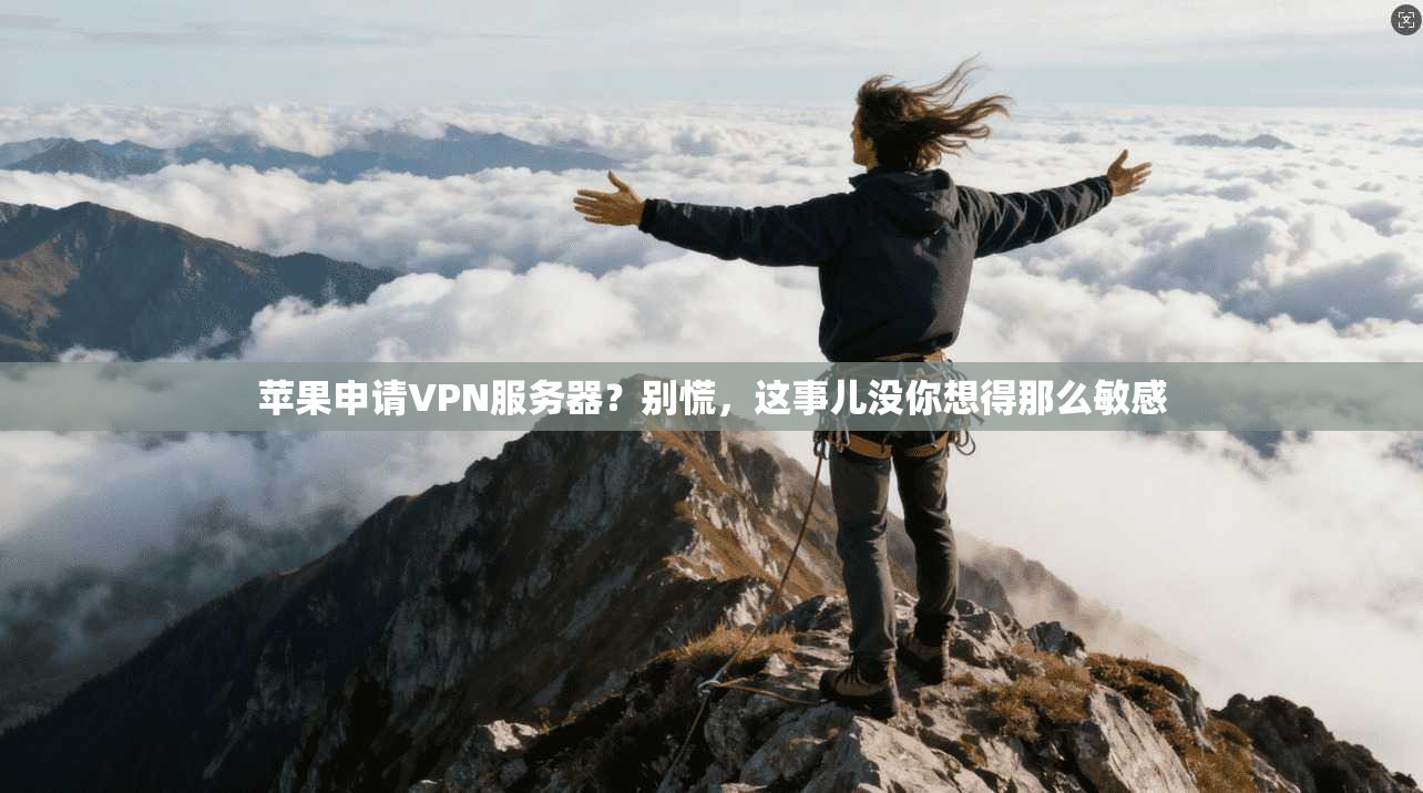 苹果申请VPN服务器？别慌，这事儿没你想得那么敏感