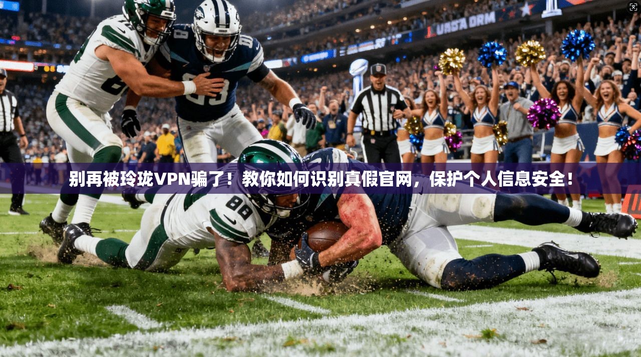 别再被玲珑VPN骗了！教你如何识别真假官网，保护个人信息安全！