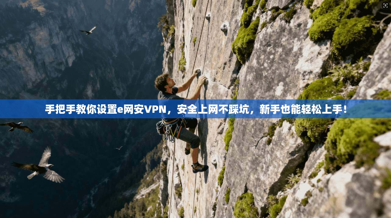 手把手教你设置e网安VPN,安全上网不踩坑,新手也能轻松上手!