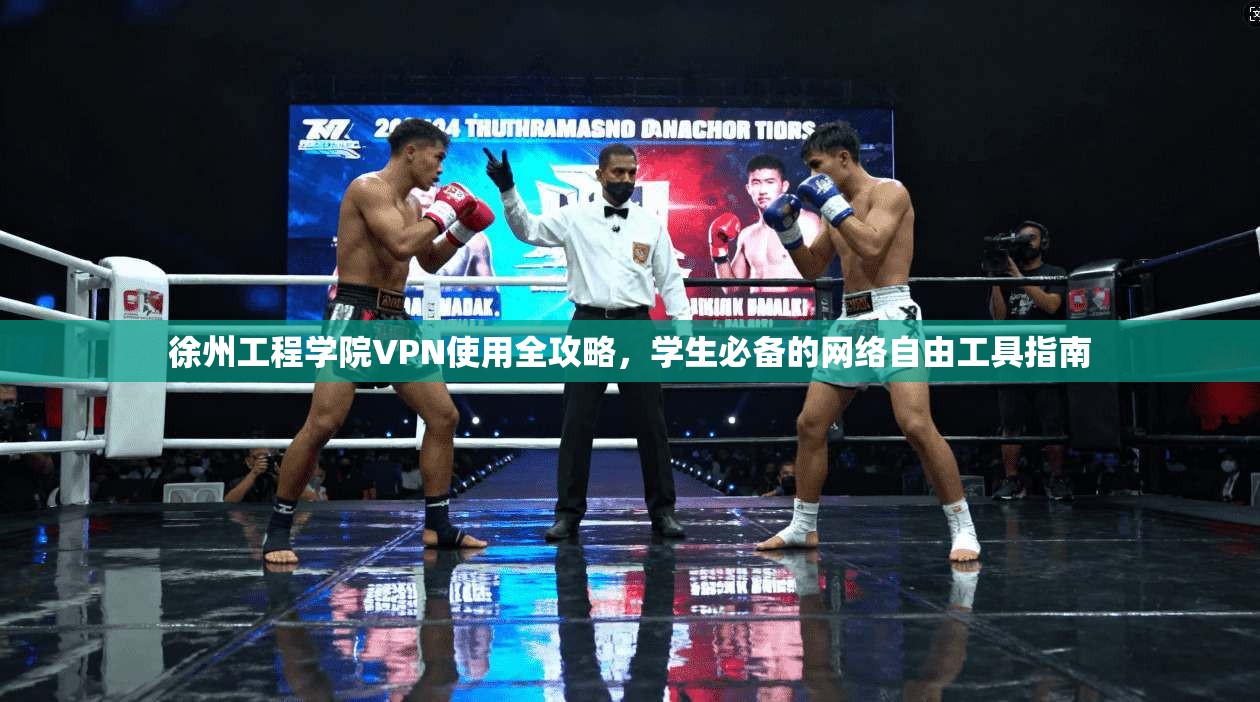 徐州工程学院VPN使用全攻略，学生必备的网络自由工具指南