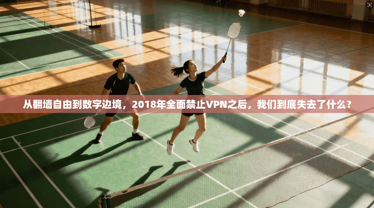 从翻墙自由到数字边境，2018年全面禁止VPN之后，我们到底失去了什么？