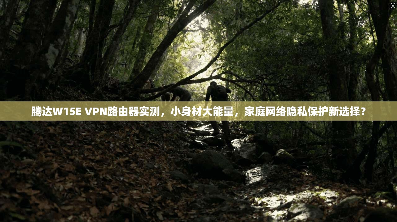 腾达W15E VPN路由器实测，小身材大能量，家庭网络隐私保护新选择？