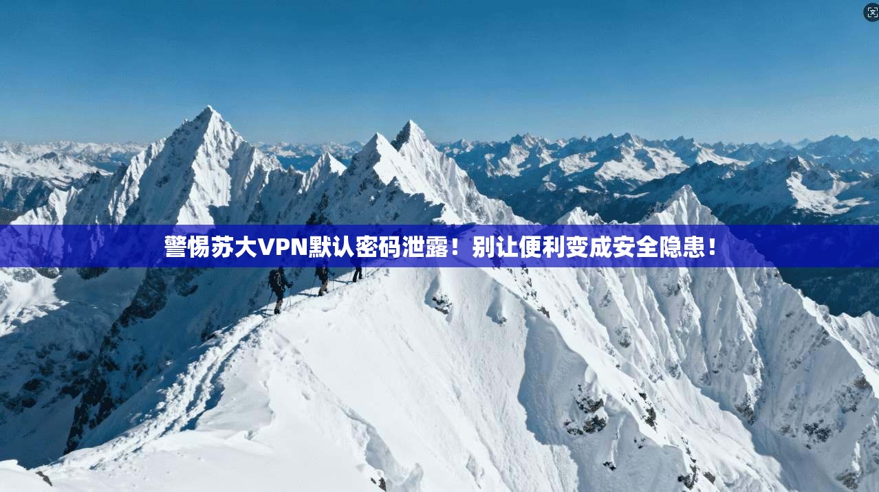 警惕苏大VPN默认密码泄露！别让便利变成安全隐患！