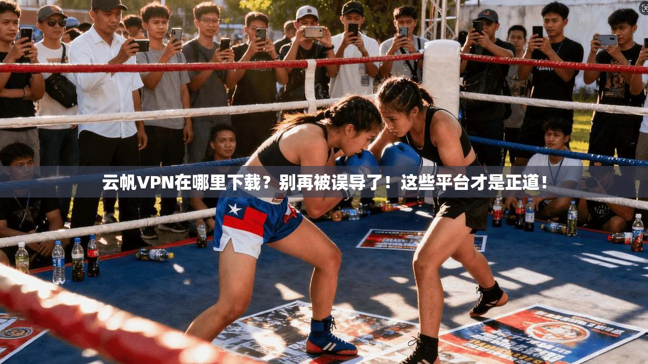 云帆VPN在哪里下载？别再被误导了！这些平台才是正道！