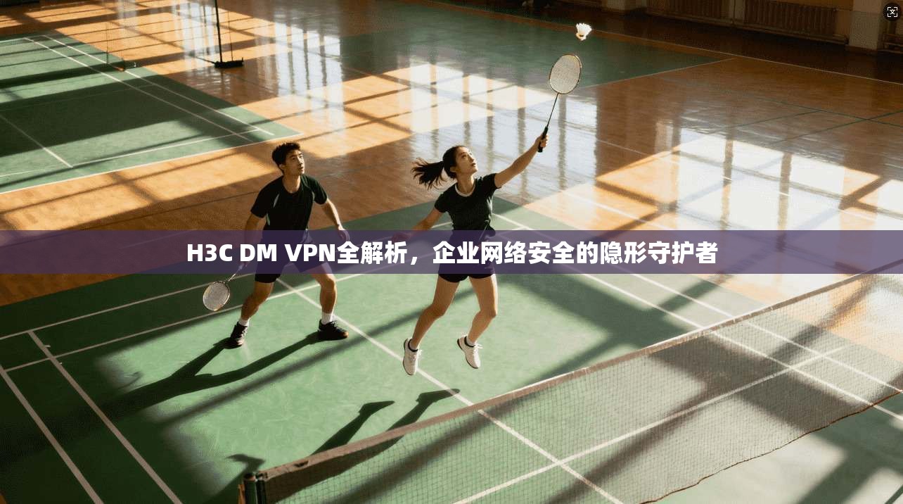 H3C DM VPN全解析，企业网络安全的隐形守护者