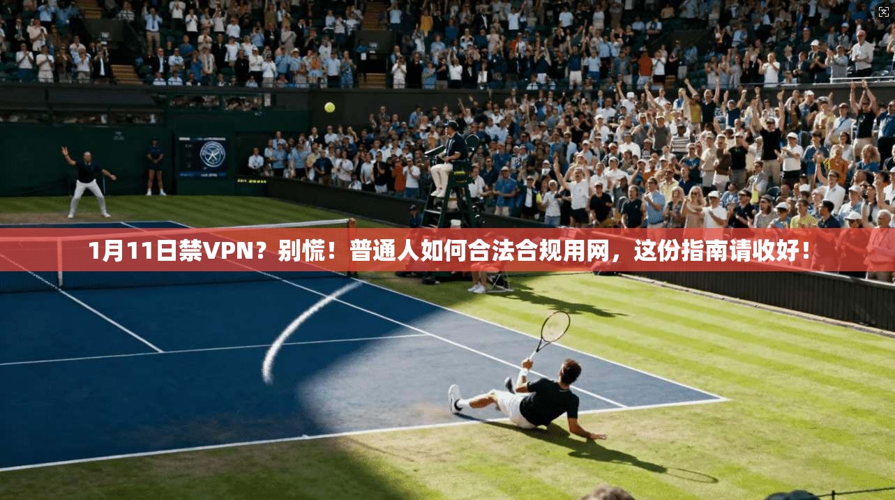 1月11日禁VPN？别慌！普通人如何合法合规用网，这份指南请收好！