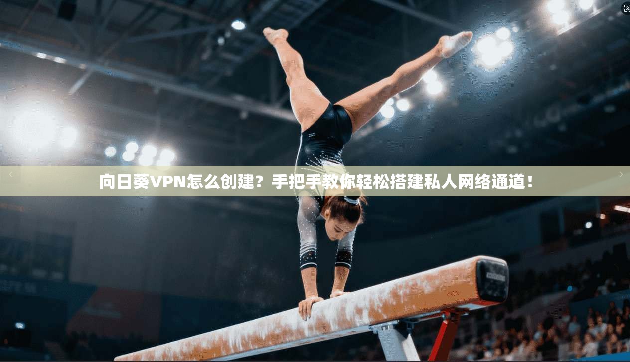 向日葵VPN怎么创建？手把手教你轻松搭建私人网络通道！