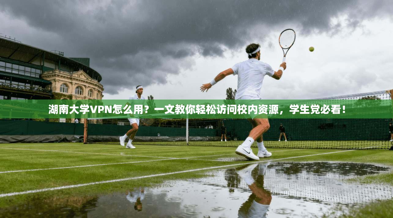 湖南大学VPN怎么用？一文教你轻松访问校内资源，学生党必看！