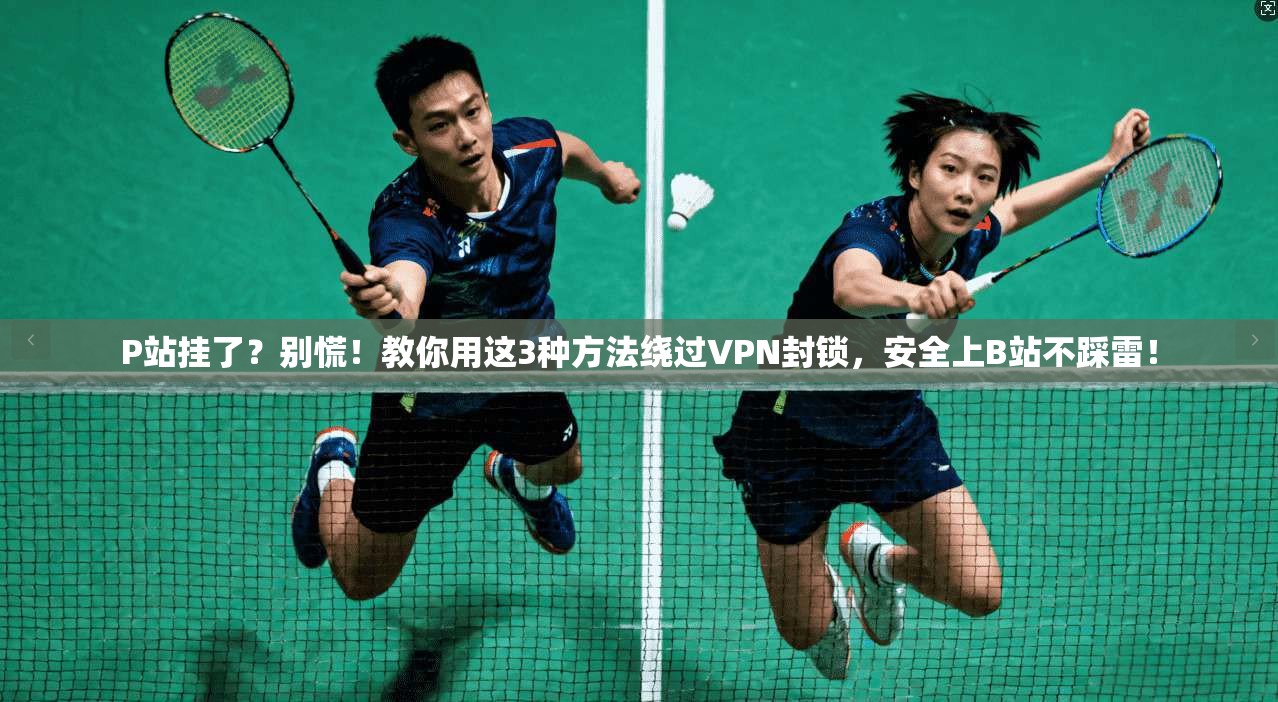 P站挂了?别慌!教你用这3种方法绕过VPN封锁,安全上B站不踩雷!