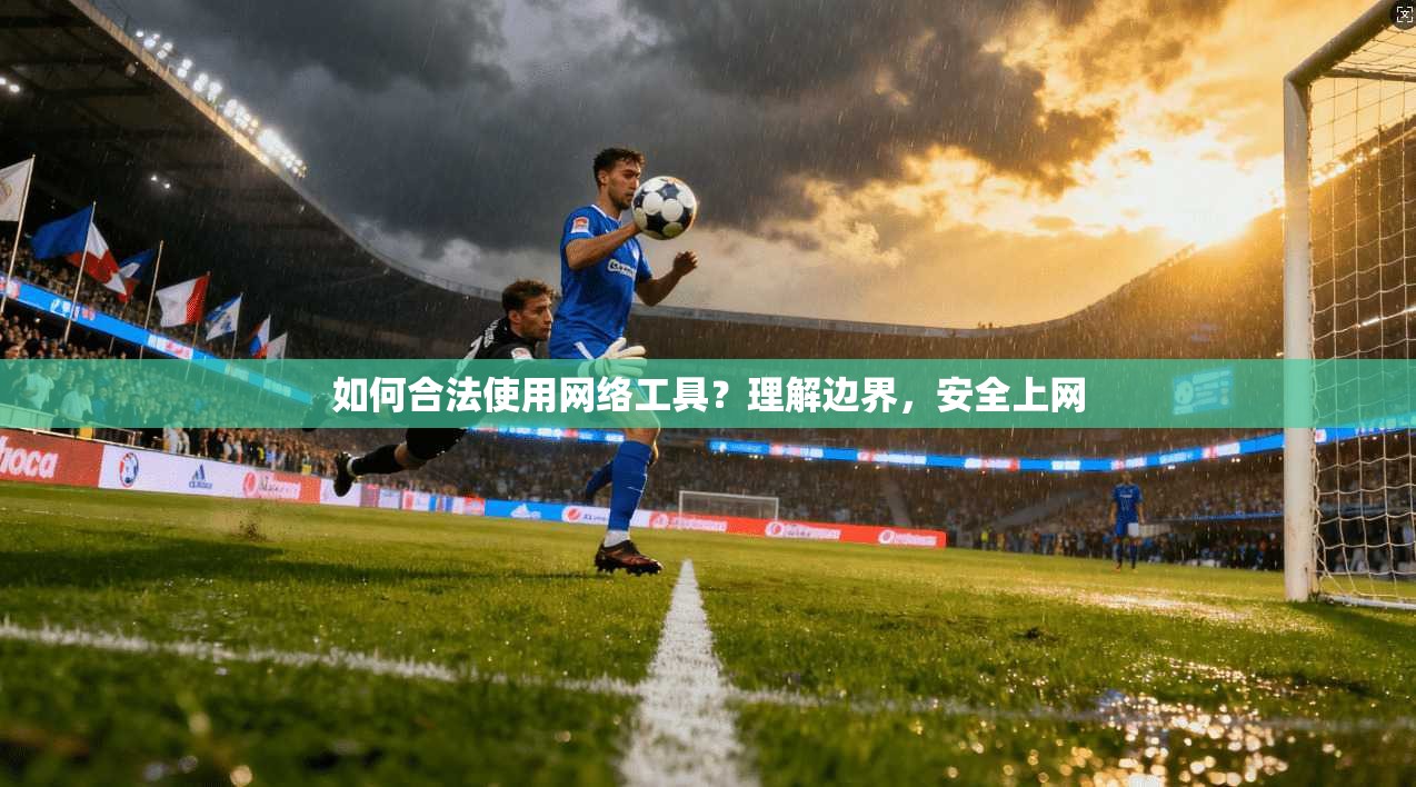如何合法使用网络工具？理解边界，安全上网