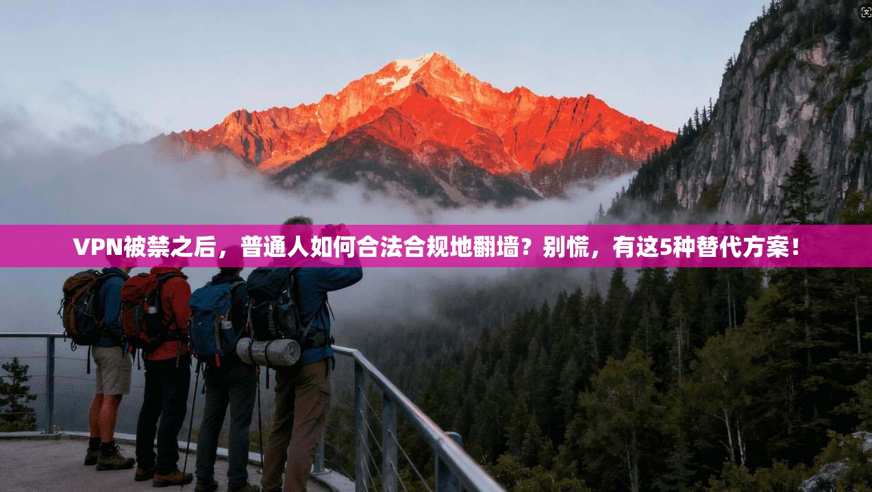 VPN被禁之后，普通人如何合法合规地翻墙？别慌，有这5种替代方案！