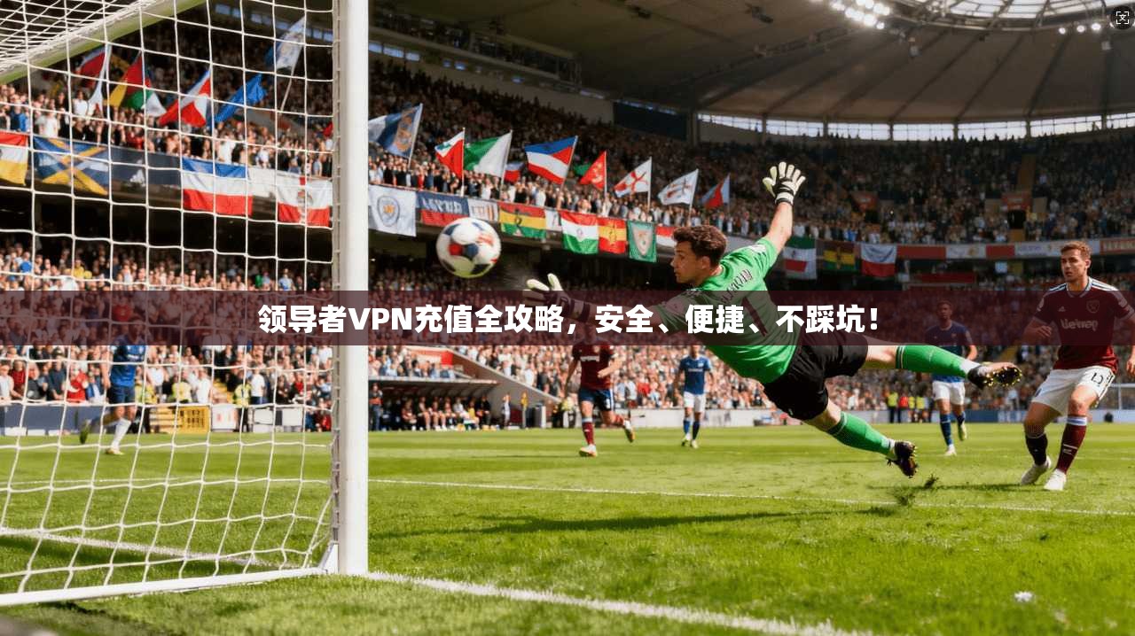 领导者VPN充值全攻略，安全、便捷、不踩坑！