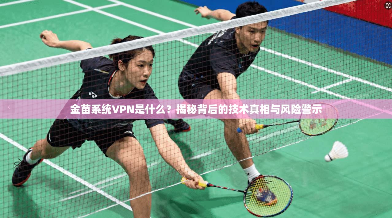 金苗系统VPN是什么？揭秘背后的技术真相与风险警示