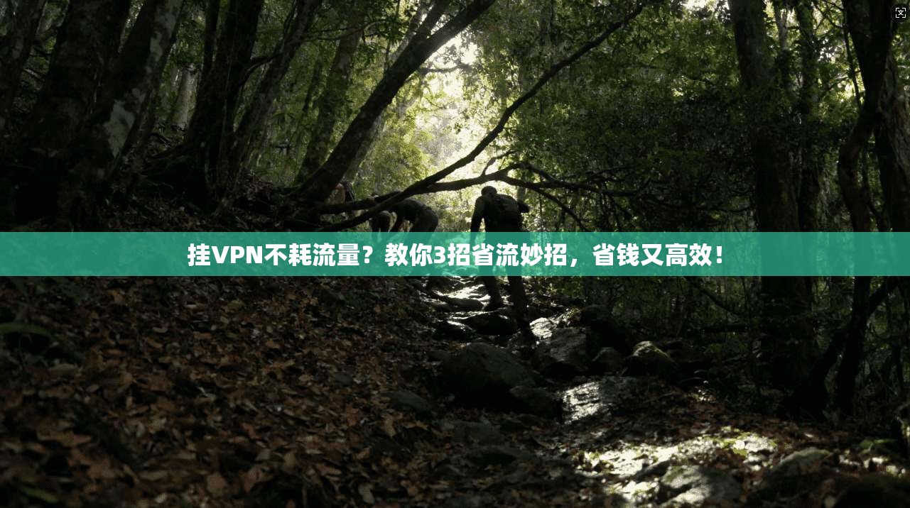 挂VPN不耗流量？教你3招省流妙招，省钱又高效！