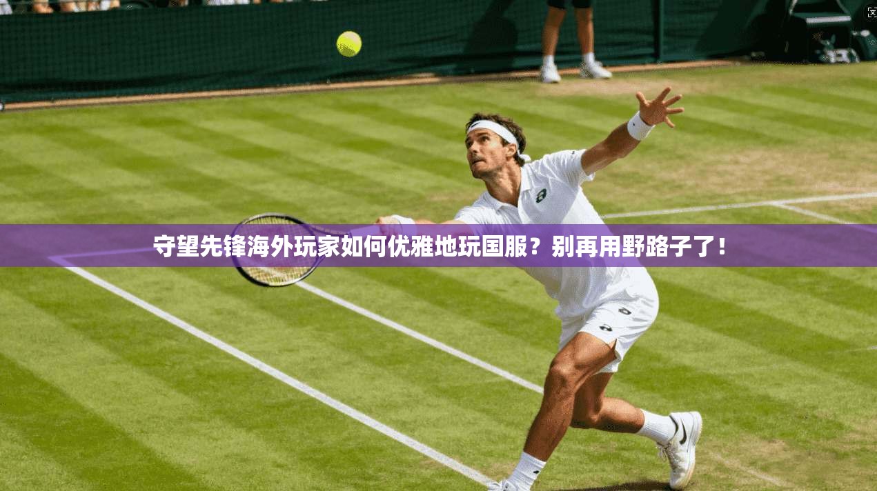 守望先锋海外玩家如何优雅地玩国服？别再用野路子了！