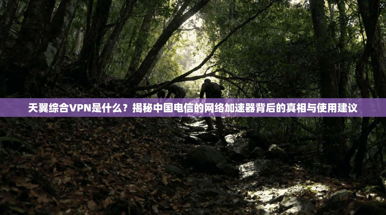 天翼综合VPN是什么?揭秘中国电信的网络加速器背后的真相与使用建议