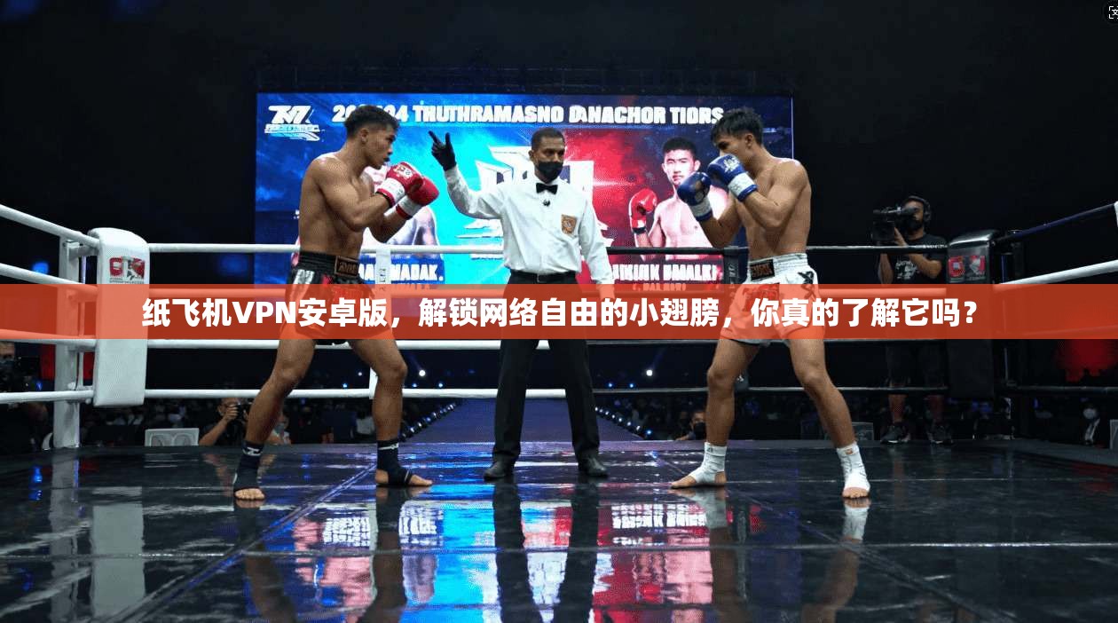 纸飞机VPN安卓版，解锁网络自由的小翅膀，你真的了解它吗？