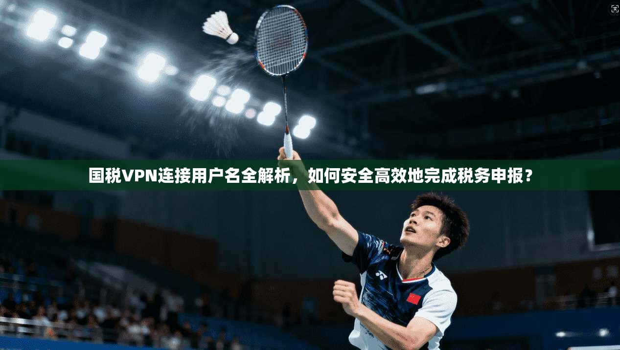 国税VPN连接用户名全解析，如何安全高效地完成税务申报？