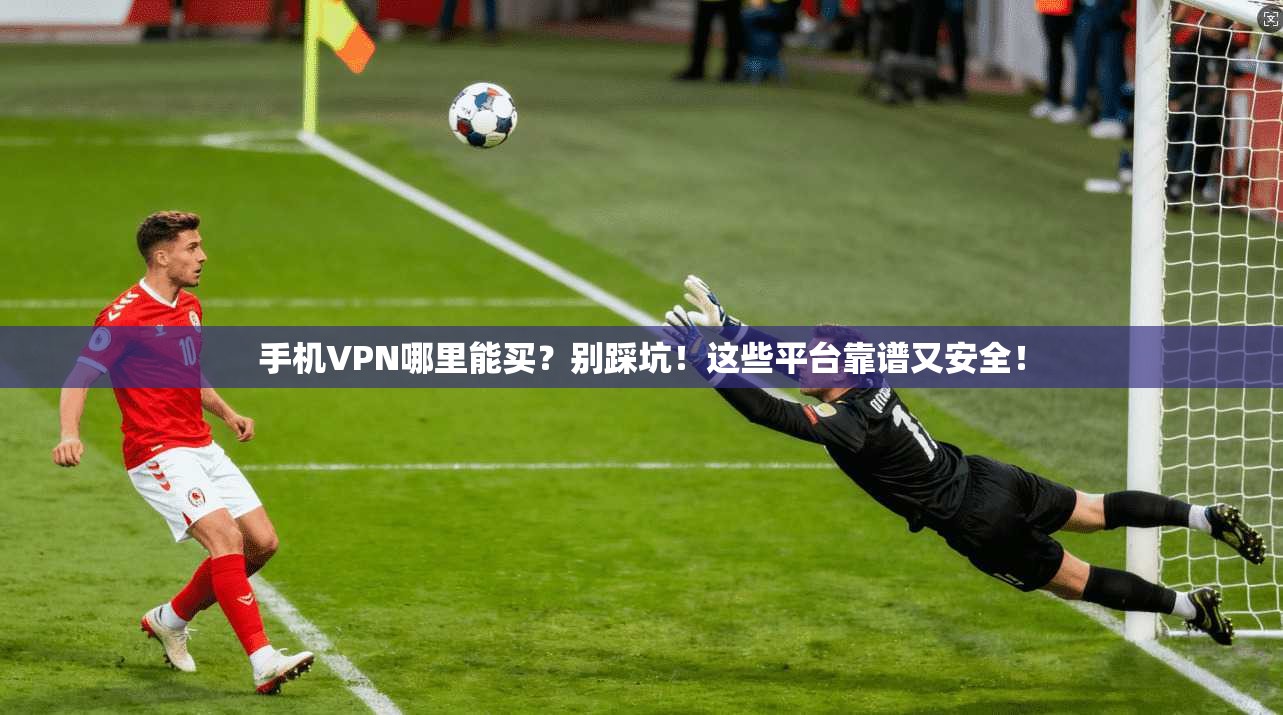 手机VPN哪里能买？别踩坑！这些平台靠谱又安全！